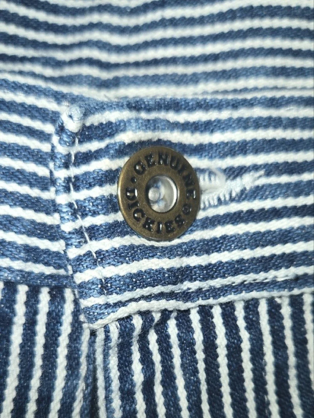 Dickies Blue and White Striped Casual Shorts